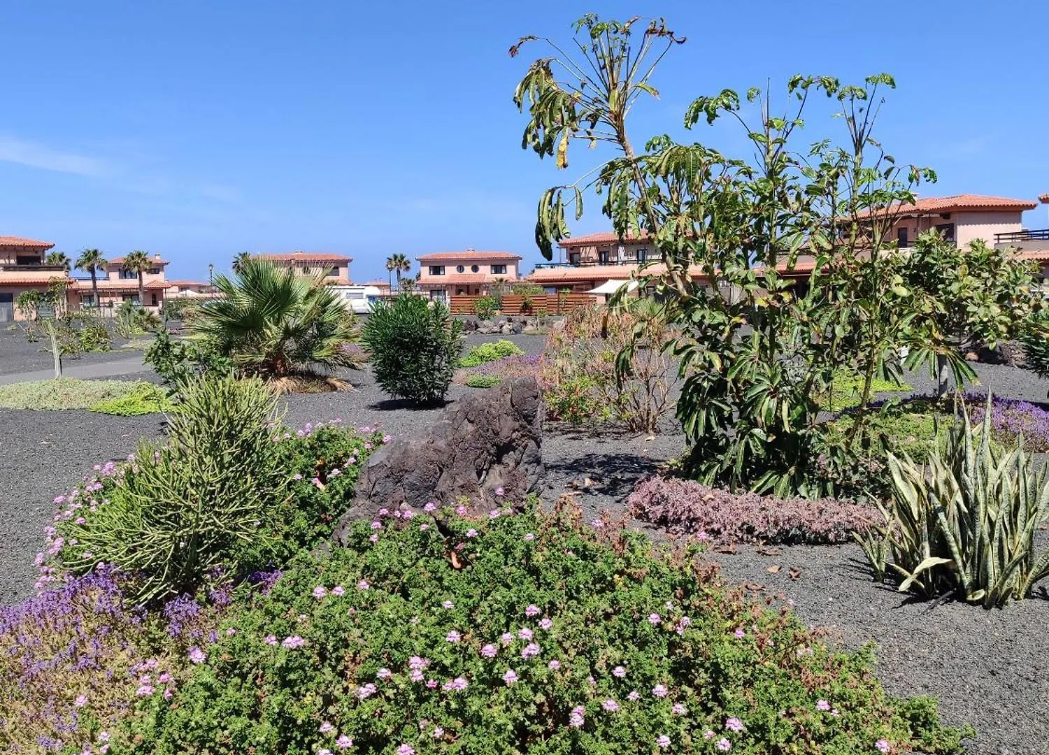 Villa Punta Calma Majanicho Apartamento